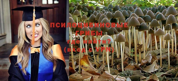эйфоретик Нефтекумск